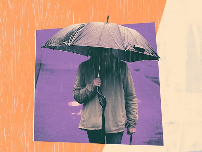 Still Mind Florida Blog Visuals